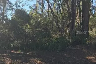 Hill Paper Ave, Deltona, FL 32725 - Photo 1