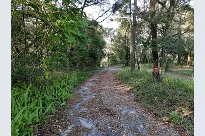 Blue Ridge Avenue, Orange City, FL 32763 - Photo 3