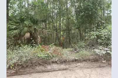 12th Ave Deland, Deland, FL 32724 - Photo 7