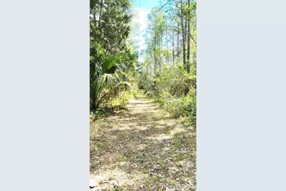 #18 No Street, Deland, FL 32724 - Photo 9