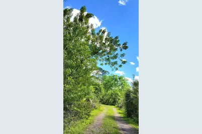 #18 No Street, Deland, FL 32724 - Photo 3