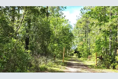 #18 No Street, Deland, FL 32724 - Photo 7