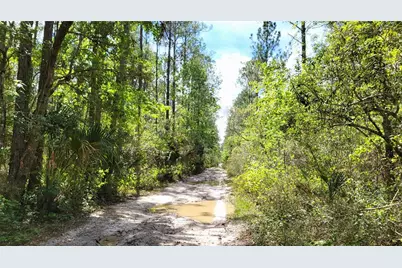 #18 No Street, Deland, FL 32724 - Photo 15