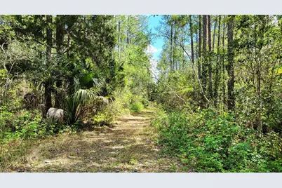 #18 No Street, Deland, FL 32724 - Photo 13