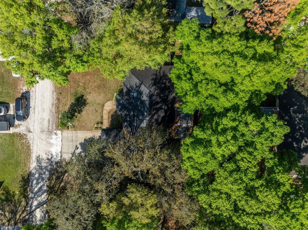 1775 Trinidad St, Deland FL  32720-1960 exterior