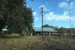 15589 104th St, Live Oak, FL 32060 - Photo 7