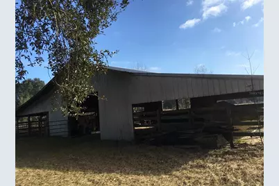 15589 104th Street, Live Oak, FL 32060 - Photo 9