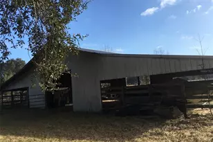 15589 104th St, Live Oak, FL 32060 - Photo 9