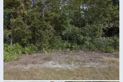 0 Mitchell Avenue, Mims, FL 32754 - Photo 3