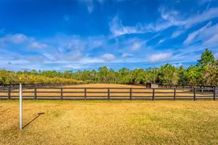 1327 W State Road 40, Pierson, FL 32180 - Photo 37