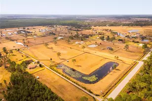 1327 W State Road 40, Pierson, FL 32180 - Photo 53