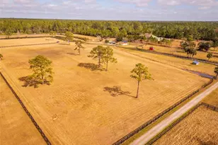 1327 W State Road 40, Pierson, FL 32180 - Photo 83