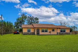 1327 W State Road 40, Pierson, FL 32180 - Photo 9