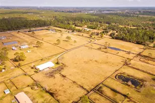 1327 W State Road 40, Pierson, FL 32180 - Photo 61