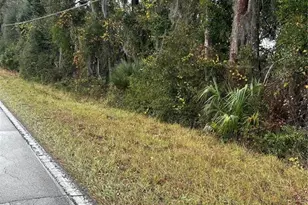 Emporia Rd, Pierson, FL 32180 - Photo 1