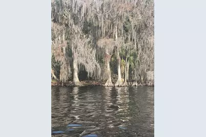 233 Stella Road, Georgetown, FL 32139 - Photo 3