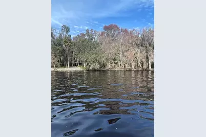 233 Stella Road, Georgetown, FL 32139 - Photo 5