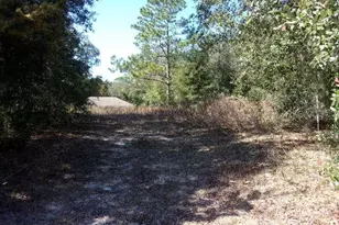 SW 140th Ave, Ocala, FL 34481 - Photo 1