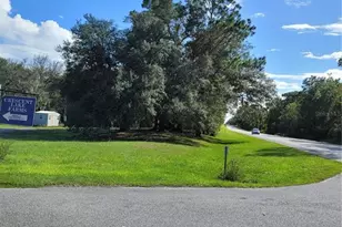 213 Clifton Rd, Crescent City, FL 32112 - Photo 23