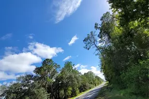 213 Clifton Rd, Crescent City, FL 32112 - Photo 39