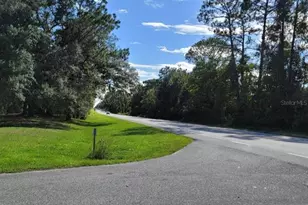 213 Clifton Rd, Crescent City, FL 32112 - Photo 19