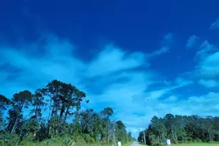 213 Clifton Rd, Crescent City, FL 32112 - Photo 15