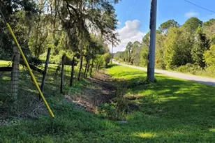 213 Clifton Rd, Crescent City, FL 32112 - Photo 25