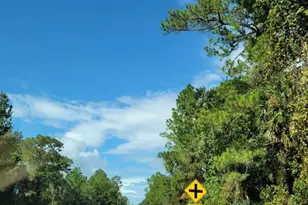 213 Clifton Rd, Crescent City, FL 32112 - Photo 9