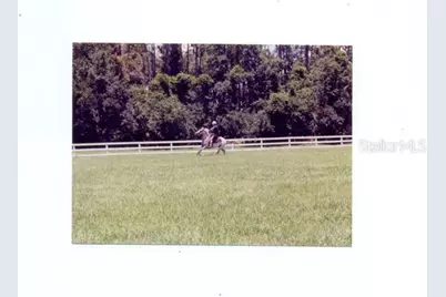 1465 Warrior Trail, Enterprise, FL 32725 - Photo 31