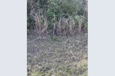 Victoria Parc Avenue, Orange City, FL 32763 - Photo 3