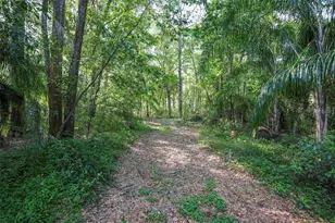 26 E Kelly Park Rd, Apopka, FL 32712 - Photo 35