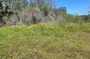 Parcel 27 15 30 00 00 0200, De Leon Springs, FL 32130 - Photo 1