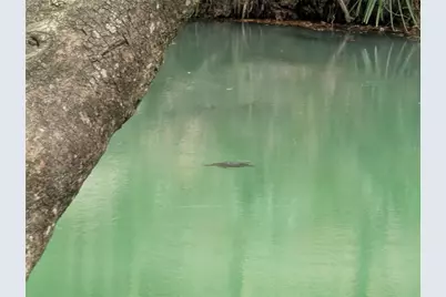 190 Hickory Woods Court #15C, Deltona, FL 32725 - Photo 35