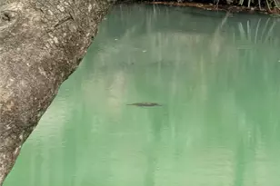 190 Hickory Woods Ct, Deltona, FL 32725 - Photo 35