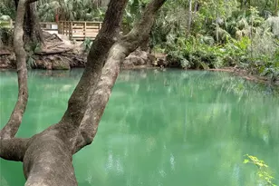 190 Hickory Woods Ct, Deltona, FL 32725 - Photo 33