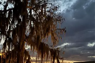 130 Oak Tree Dr, Debary, FL 32713 - Photo 27