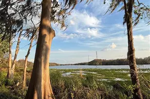 130 Oak Tree Dr, Debary, FL 32713 - Photo 29