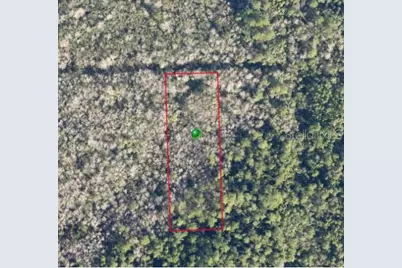 Pine Street, Pierson, FL 32180 - Photo 1