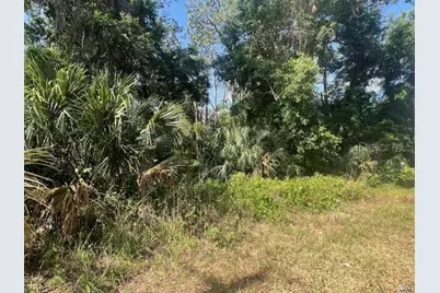 W Taylor Road, Deland, FL 32720 - Photo 7