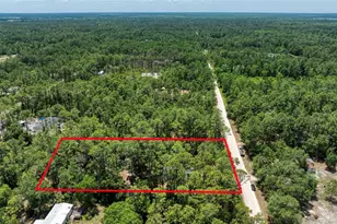 2089 Guava Ln, Bunnell, FL 32110 - Photo 55