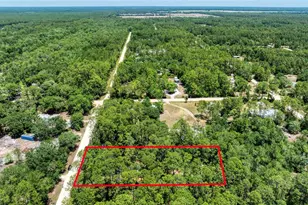 2089 Guava Ln, Bunnell, FL 32110 - Photo 51