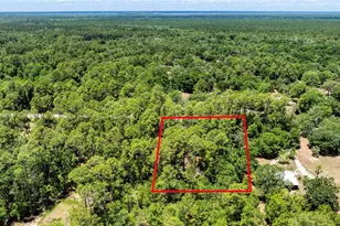 2089 Guava Ln, Bunnell, FL 32110 - Photo 53