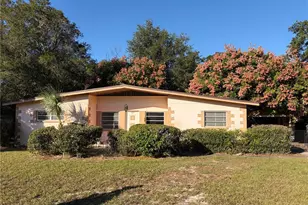 409 S Sparkman Ave, Orange City, FL 32763 - Photo 1