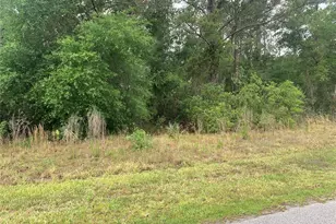 525 Live Oak Loop, Crescent City, FL 32112 - Photo 1