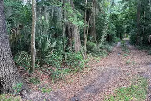 16075 NW 37th Terrace, Reddick, FL 32686 - Photo 5