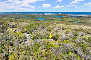 5721 John Anderson Hwy, Flagler Beach, FL 32136 - Photo 49