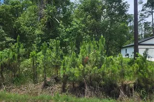 11 Th, Deland, FL 32724 - Photo 1