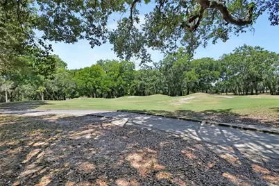 171 Birchmont Drive, Deland, FL 32724 - Photo 43