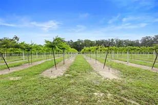 1056 Reynolds Rd, De Leon Springs, FL 32130 - Photo 43