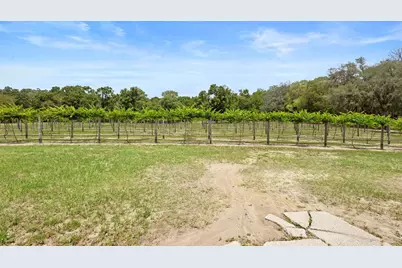 1056 Reynolds Road, De Leon Springs, FL 32130 - Photo 51